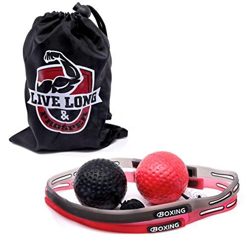 Boxing Reflex Ball