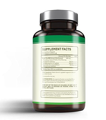 Green Tea Extract