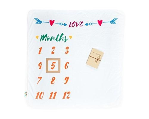 Milestone Blanket