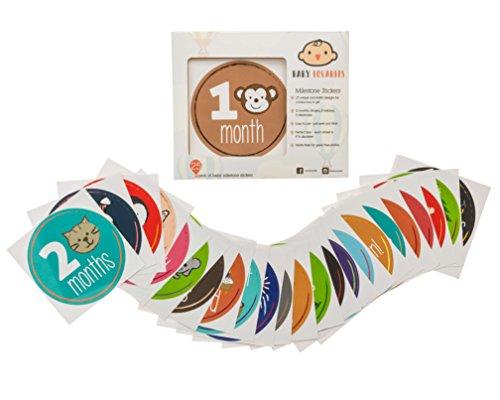 Baby Monthly Stickers
