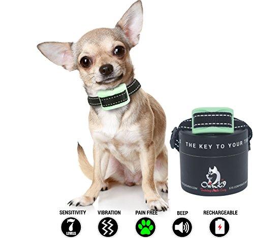 Small Dog Bark Collar