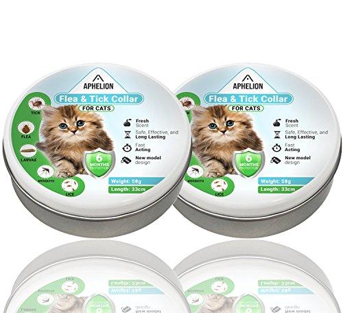 Flea And Tick Prevention For Cats