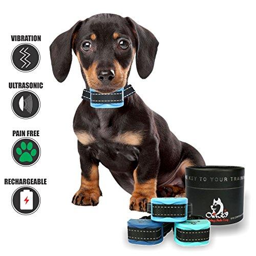 Bark Collar Small Dog