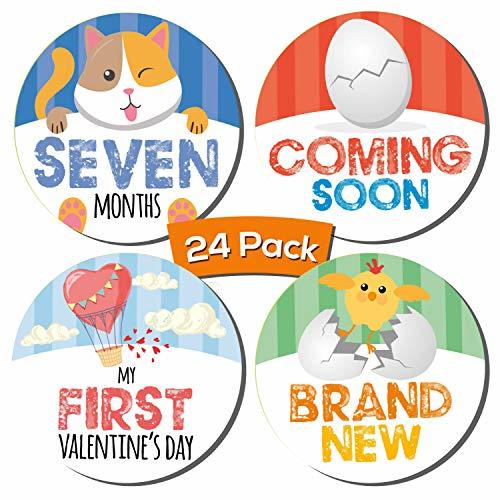 Baby Monthly Stickers